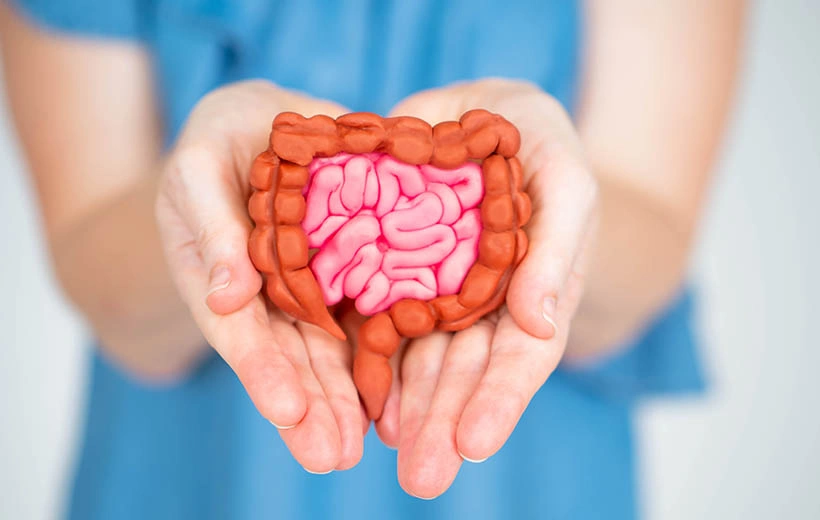 Заворот кишок: причины, симптомы, лечение