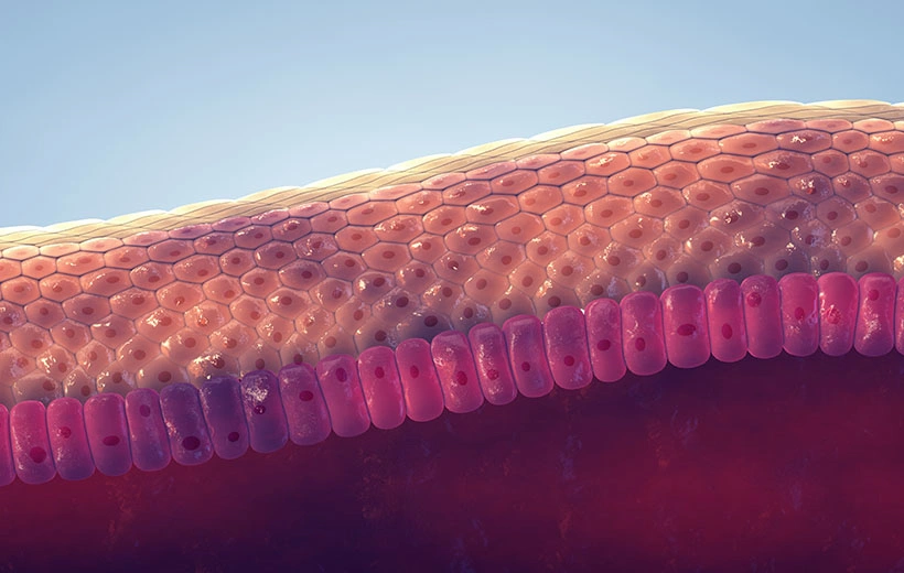 Гиперкератоз: причины и лечение Гиперкератоз: причины и лечение