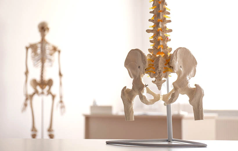 Кокцигодиния: симптомы и лечение