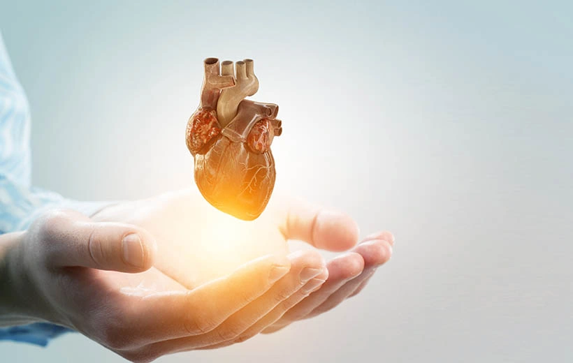 Эндокардит: причины, симптомы, диагностика, лечение